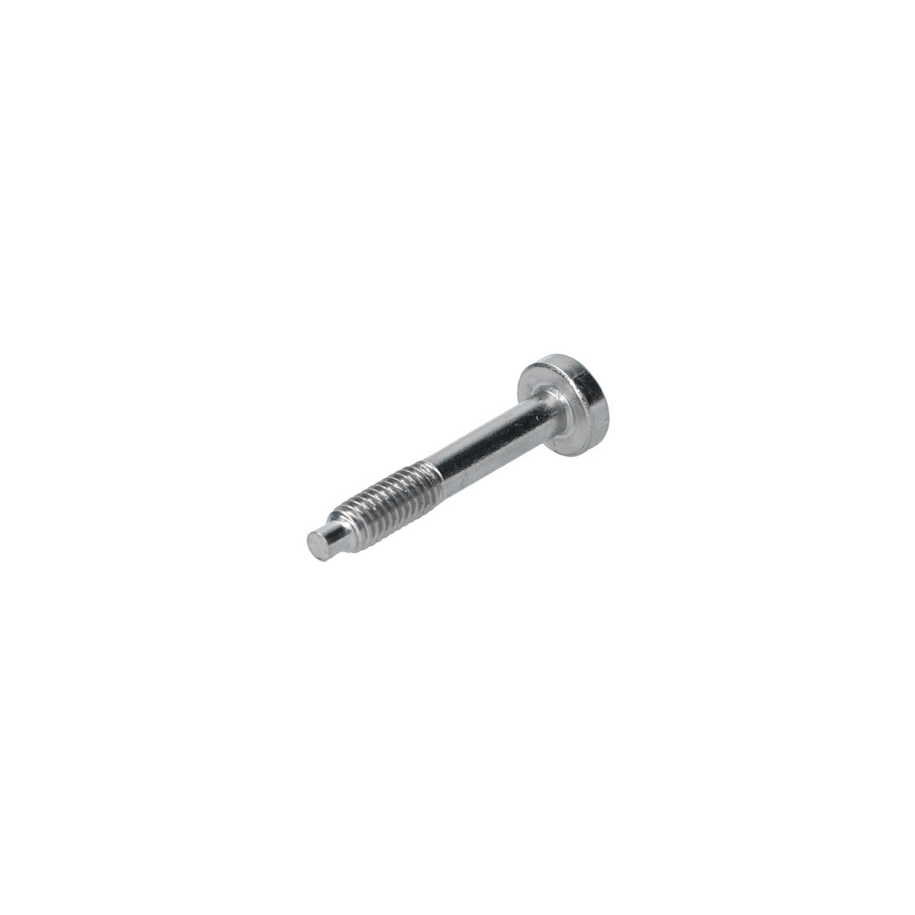 Vijs verlichting - M4 x 25 detail — T2