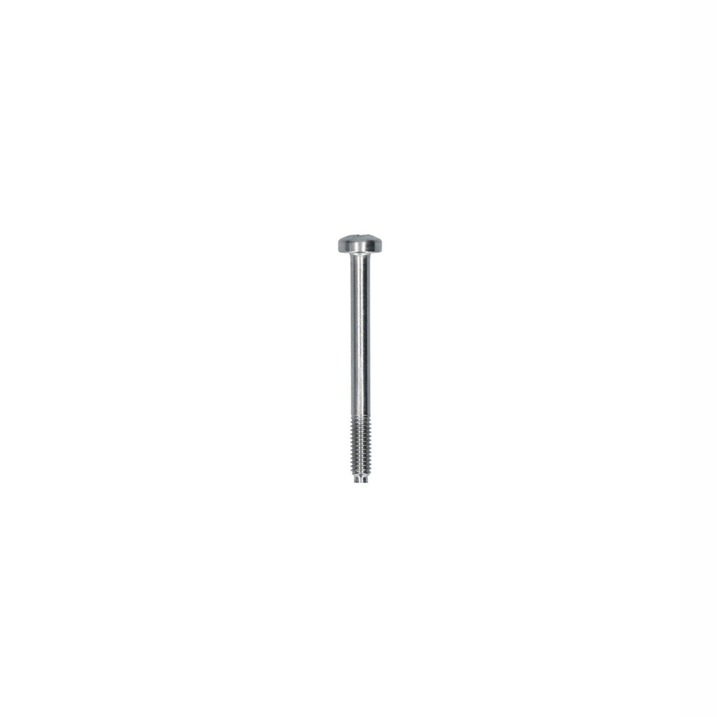 Vijs verlichting - M4 x 40 voor T2 — VintageDub
