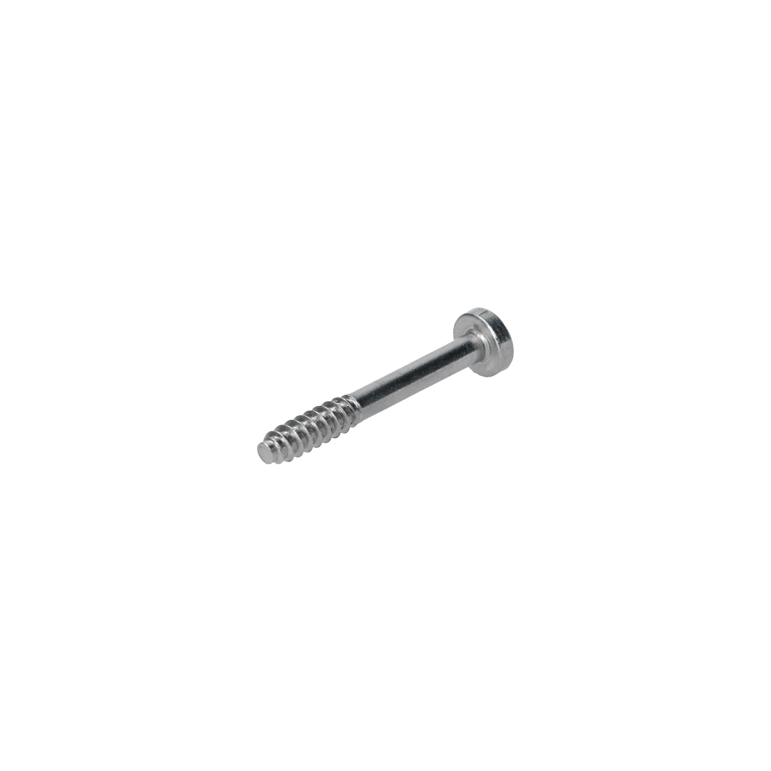 Vijs verlichting - 4 x 30 detail — T2, Kever