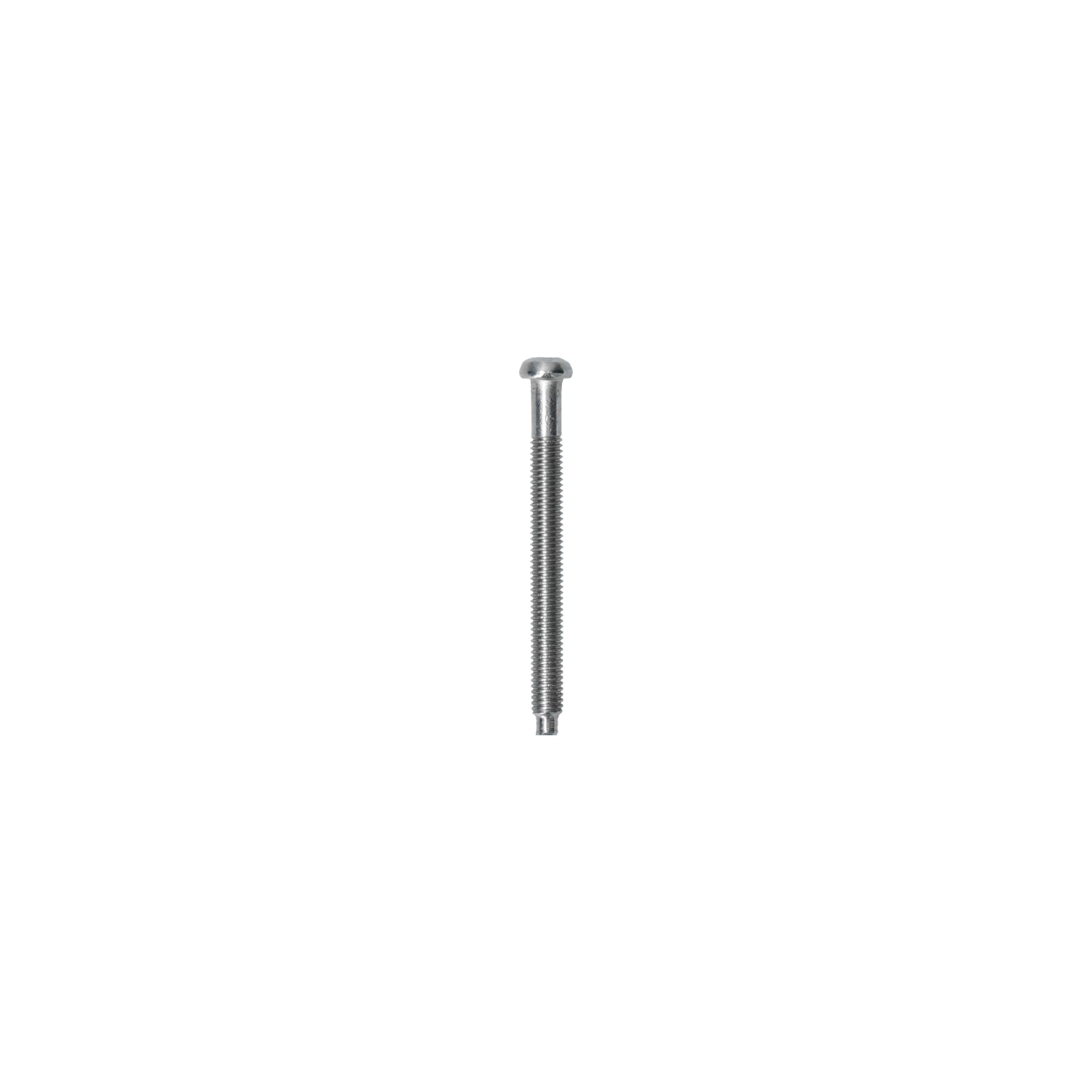 VW Cox, Combi | Vis cercle phare cercle plastique | 08/67- | 113 941 183