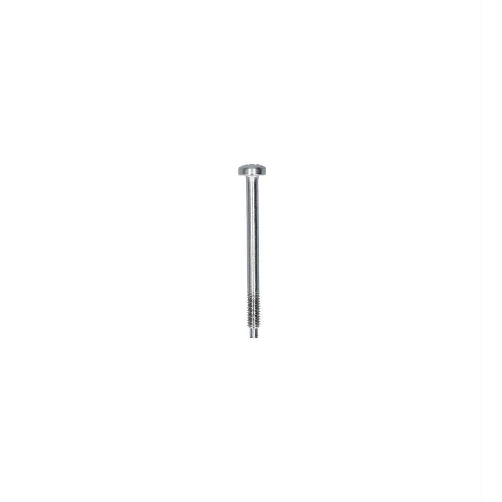 Vijs verlichting - M4 x 45 voor Kever — VintageDub