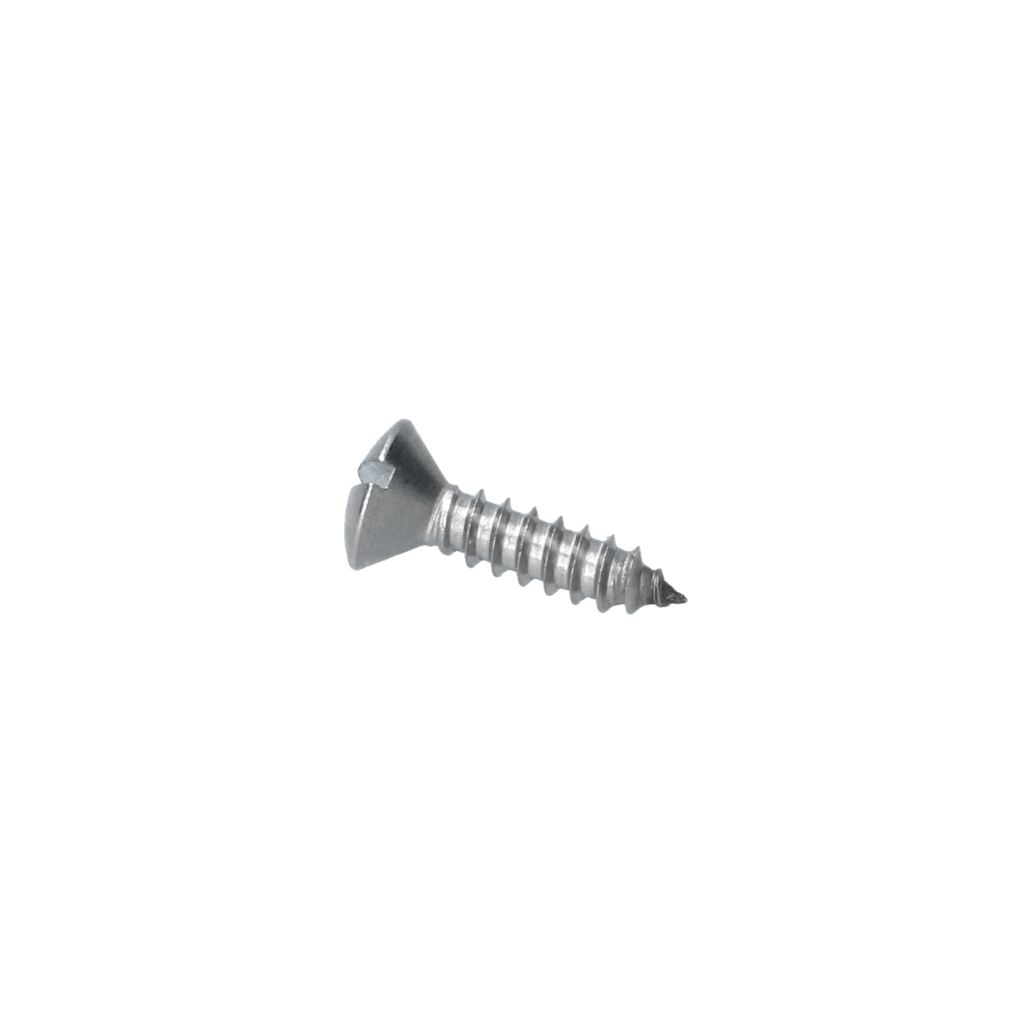 Parkervijs RVS bolconisch verzonken (Gleufkop) 4,8x19mm, DIN7973C detail — T1, T2, Kever, KG